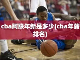 cba阿联年新是多少(cba年薪排名)