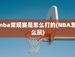 nba常规赛是怎么打的(NBA怎么玩)