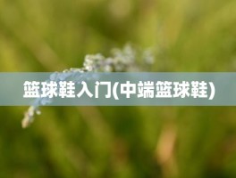 篮球鞋入门(中端篮球鞋)