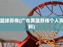 篮球苏伟(广东男篮苏伟个人资料)