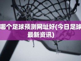 哪个足球预测网址好(今日足球最新资讯)