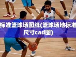 标准篮球场图纸(篮球场地标准尺寸cad图)