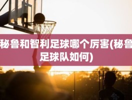 秘鲁和智利足球哪个厉害(秘鲁足球队如何)
