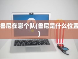 鲁尼在哪个队(鲁尼是什么位置)