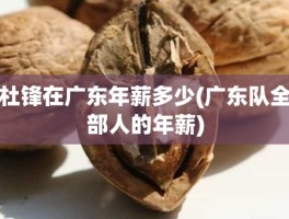 杜锋在广东年薪多少(广东队全部人的年薪)