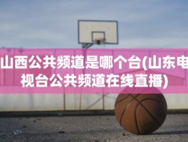 山西公共频道是哪个台(山东电视台公共频道在线直播)