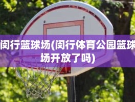 闵行篮球场(闵行体育公园篮球场开放了吗)