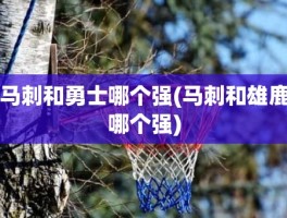 马刺和勇士哪个强(马刺和雄鹿哪个强)