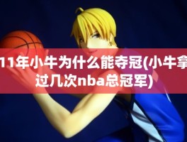 11年小牛为什么能夺冠(小牛拿过几次nba总冠军)