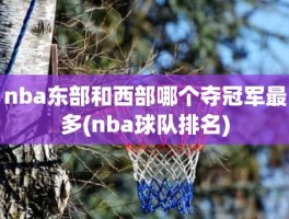 nba东部和西部哪个夺冠军最多(nba球队排名)