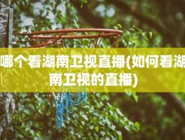 哪个看湖南卫视直播(如何看湖南卫视的直播)