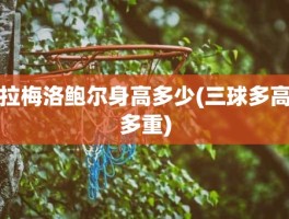 拉梅洛鲍尔身高多少(三球多高多重)