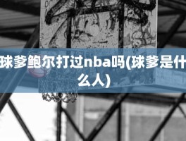 球爹鲍尔打过nba吗(球爹是什么人)