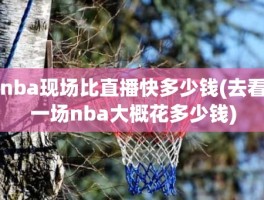 nba现场比直播快多少钱(去看一场nba大概花多少钱)