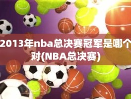 2013年nba总决赛冠军是哪个对(NBA总决赛)