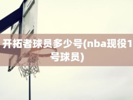 开拓者球员多少号(nba现役1号球员)