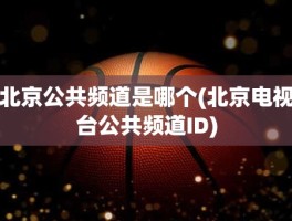 北京公共频道是哪个(北京电视台公共频道ID)