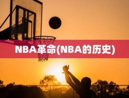 NBA革命(NBA的历史)