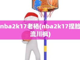 nba2k17老杨(nba2k17捏脸流川枫)