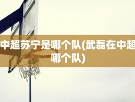 中超苏宁是哪个队(武磊在中超哪个队)