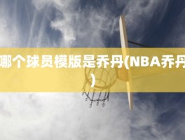 哪个球员模版是乔丹(NBA乔丹)