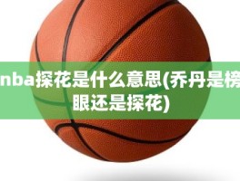 nba探花是什么意思(乔丹是榜眼还是探花)