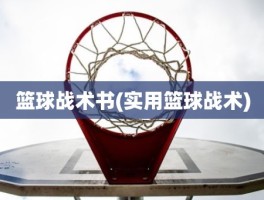 篮球战术书(实用篮球战术)