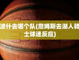 波什去哪个队(詹姆斯去湖人骑士球迷反应)