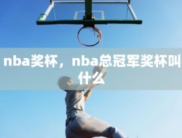 nba奖杯，nba总冠军奖杯叫什么