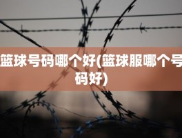 篮球号码哪个好(篮球服哪个号码好)