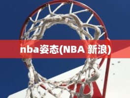 nba姿态(NBA 新浪)