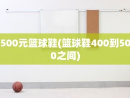 500元篮球鞋(篮球鞋400到500之间)