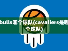 bulls哪个球队(cavaliers是哪个球队)