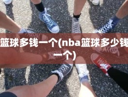 篮球多钱一个(nba篮球多少钱一个)