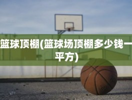 篮球顶棚(篮球场顶棚多少钱一平方)