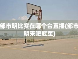 邹市明比赛在哪个台直播(邹市明来吧冠军)