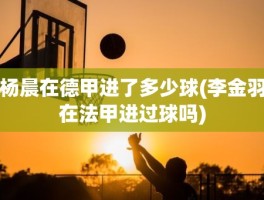 杨晨在德甲进了多少球(李金羽在法甲进过球吗)