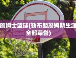 詹姆士篮球(勒布朗詹姆斯生涯全部荣誉)