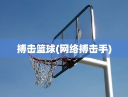 搏击篮球(网络搏击手)