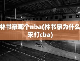 林书豪哪个nba(林书豪为什么来打cba)