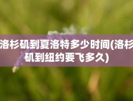 洛杉矶到夏洛特多少时间(洛杉矶到纽约要飞多久)