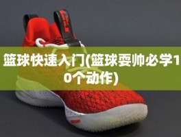 篮球快速入门(篮球耍帅必学10个动作)