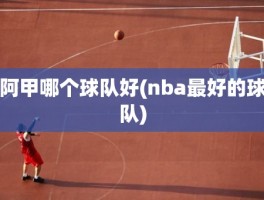 阿甲哪个球队好(nba最好的球队)