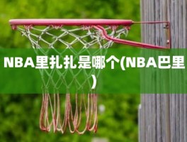 NBA里扎扎是哪个(NBA巴里)