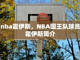 nba霍伊斯，NBA国王队球员霍伊斯简介