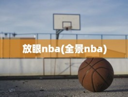 放眼nba(全景nba)