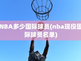 NBA多少国际球员(nba现役国际球员名单)