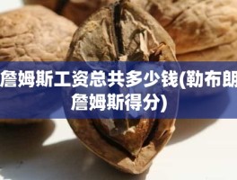 詹姆斯工资总共多少钱(勒布朗詹姆斯得分)