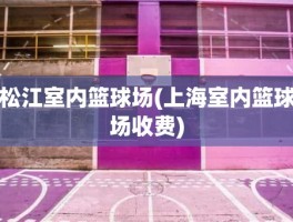 松江室内篮球场(上海室内篮球场收费)