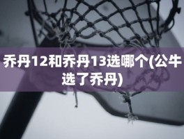 乔丹12和乔丹13选哪个(公牛选了乔丹)